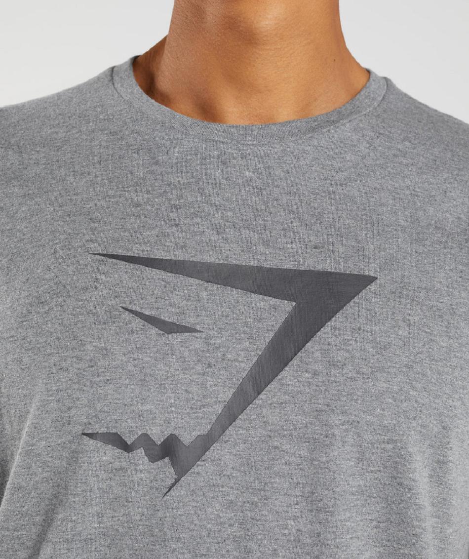 T Shirts Męskie Gymshark Sharkhead Infill Szare | PL 3824GSO